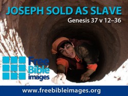 00_Joseph_Slave_JPEG_1024