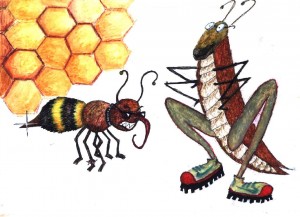 wilde Bienen und Heuschrecken